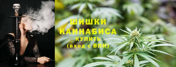 крисы Бородино