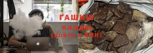 крисы Бородино
