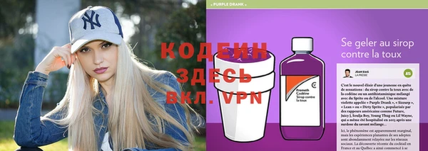 молекула духа Бронницы
