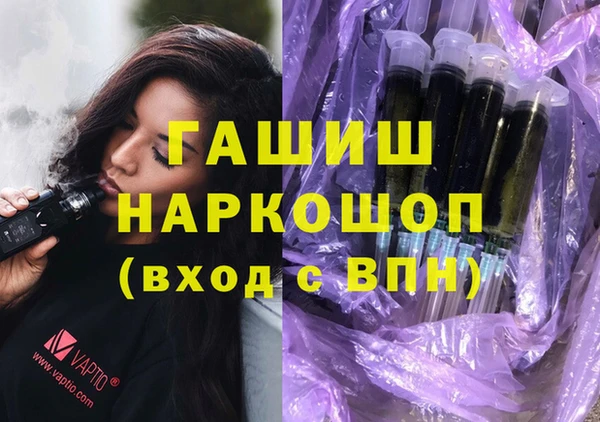 крисы Бородино