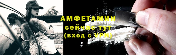 молекула духа Бронницы