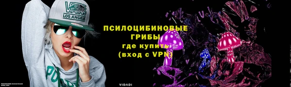 крисы Бородино