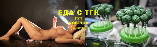 крисы Бородино
