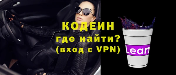 крисы Бородино