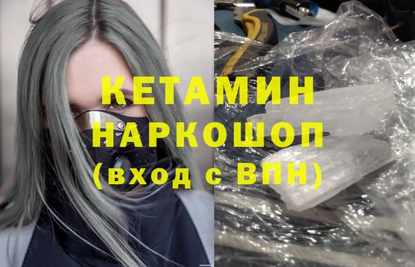 крисы Бородино