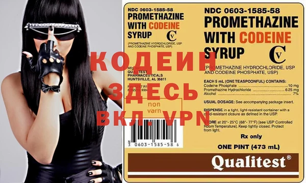 крисы Бородино