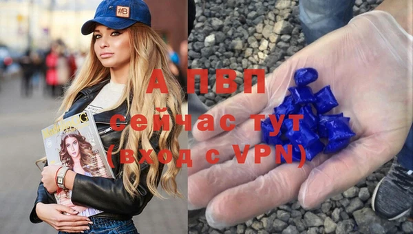 молекула духа Бронницы