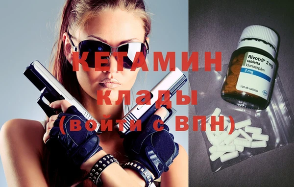 крисы Бородино
