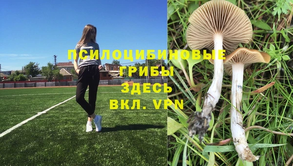 марки nbome Бугульма