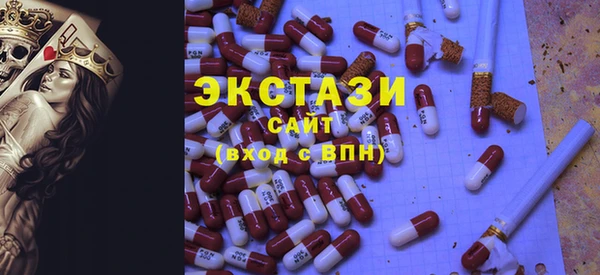 крисы Бородино