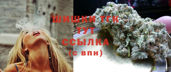 крисы Бородино