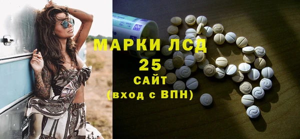 крисы Бородино