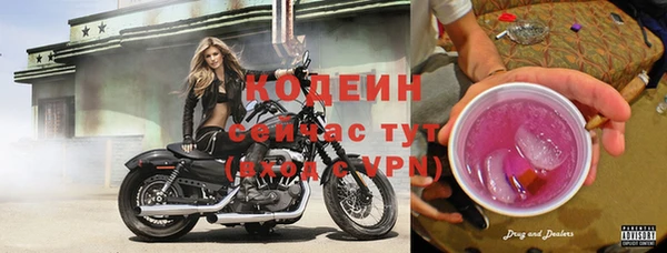крисы Бородино