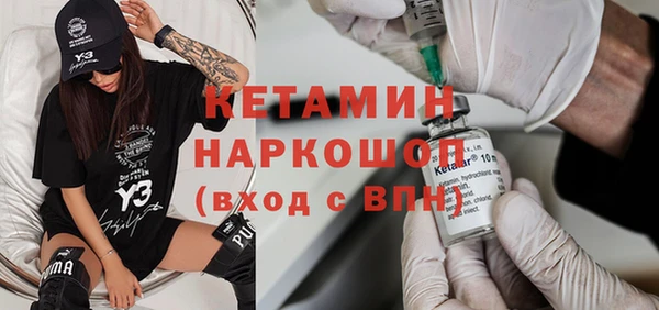крисы Бородино