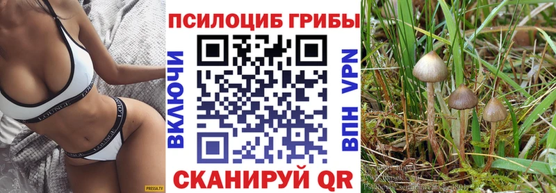 купить наркоту  Мостовской  Псилоцибиновые грибы Magic Shrooms 